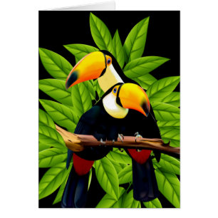 Carte de crédit exotic toucan