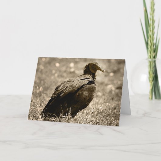 Carte de Customizeable de vautour (Devant)