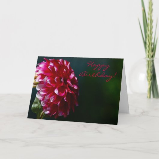 Carte de dahlia de joyeux anniversaire (Devant)
