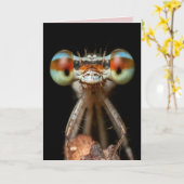 CARTE DE DAMSELFLY BIRTHDAY (Fleur jaune)