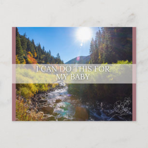 Carte de déclaration de naissance