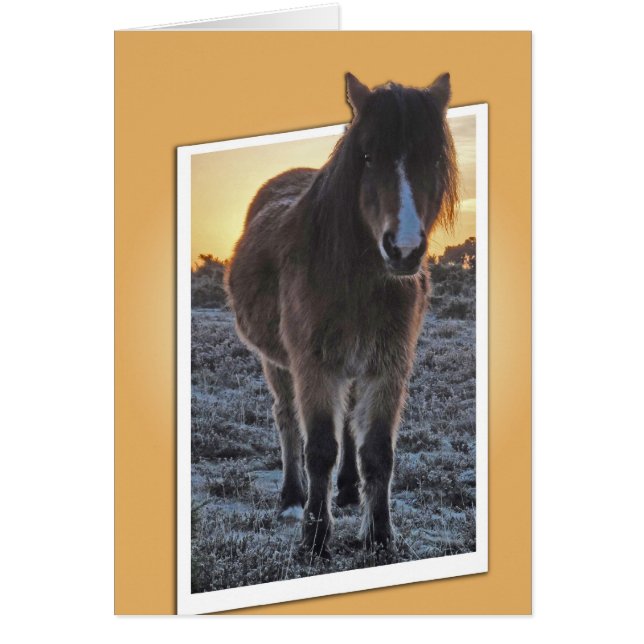 Carte de découpe de poney (Devant)