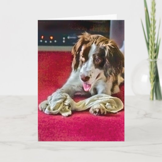 Carte de délai de lecture (Devant)