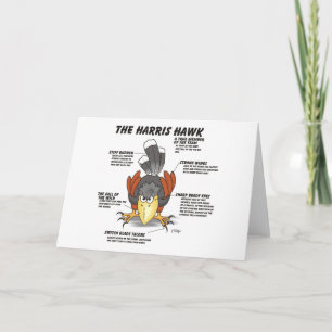 Carte de dessin animé Harris Hawk