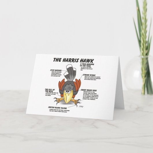 Carte de dessin animé Harris Hawk (Devant)