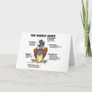 Carte de dessin Harris Hawk