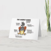Carte de dessin Harris Hawk (Devant)