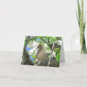 Carte de deuil #81 de salutation ou de note de (Devant)