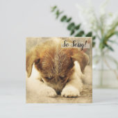 Carte de deuil pour chien (Debout devant)