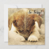 Carte de deuil pour chien (Devant)