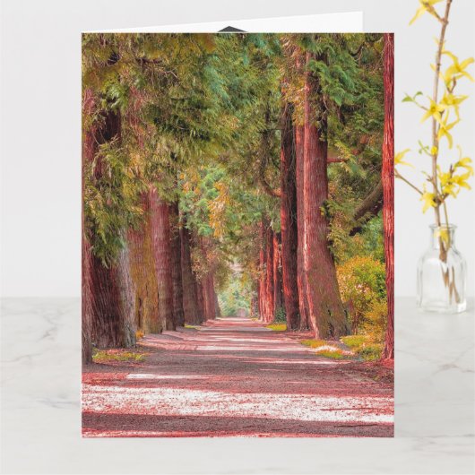 Carte de diplôme (Fleur jaune)