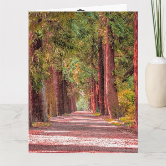 Carte de diplôme (Devant)