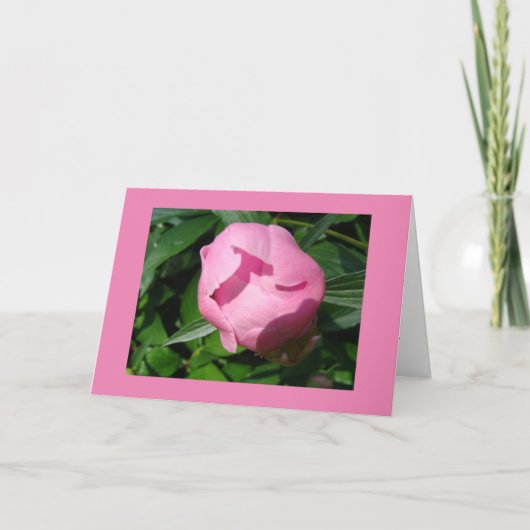 Carte de divorce (Devant)