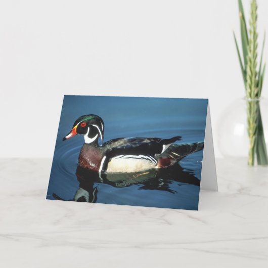 CARTE DE DUCK EN BOIS (Devant)