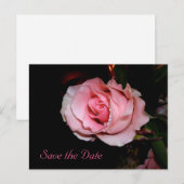 Carte de faire-part d'annonce de date (Devant / Derrière)