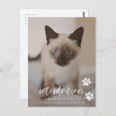 Carte de Faire-part de chat ou de chat (Devant / Derrière)