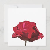 Carte de faire-part de décès à la rose rouge (Dos)