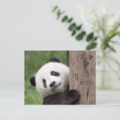 Carte de faire-part de mariage avec un ours panda (Debout devant)
