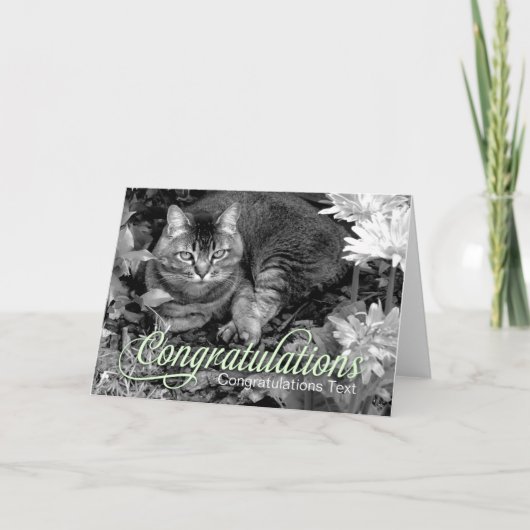 Carte de félicitations de blanc de chat de jardin (Devant)