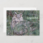 Carte de félicitations Hibou grand-duc (Devant / Derrière)