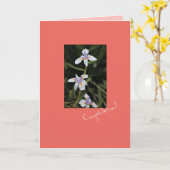 Carte de félicitations Iris sauvage (Fleur jaune)