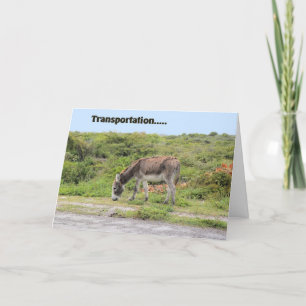 Carte de félicitations, Nouvelle voiture