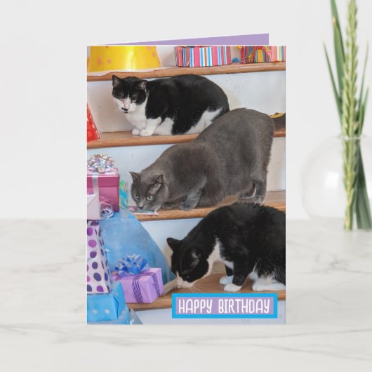 Carte de félicitations pliée (Devant)