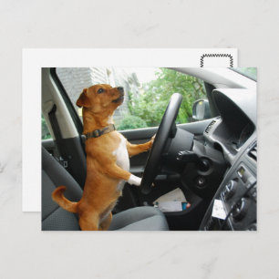 Carte de félicitations pour le permis de conduire