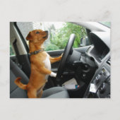 Carte de félicitations pour le permis de conduire (Devant)