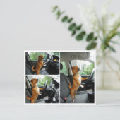 Carte de félicitations pour le permis de conduire  (Debout devant)