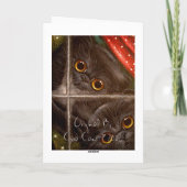CARTE DE FÊTE DE CHATONS PERSANS NOIRS (Dos)