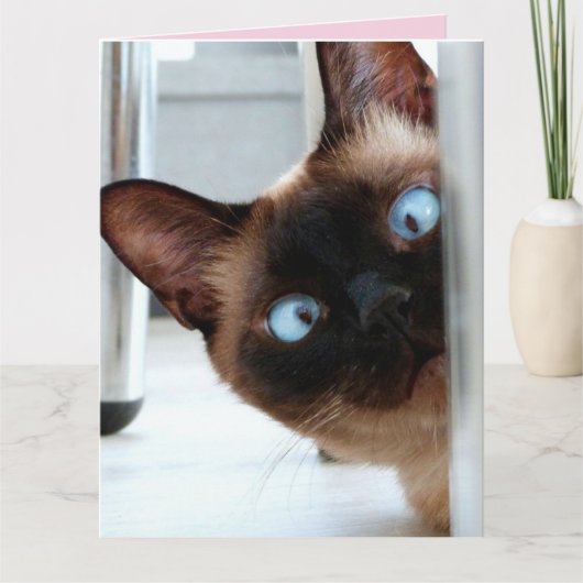 CARTE DE FETE DE MAMAN CHAT MIGNON QUI REGARDE (Devant)