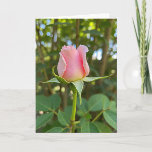 Carte de Fête des Mères à la Rose Rose