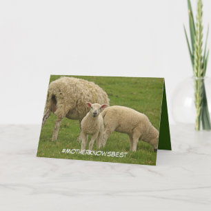 Carte de fête des mères avec agneau