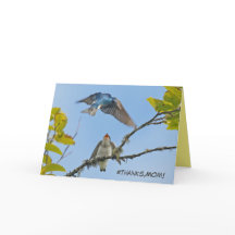 Carte de fête des mères avec hirondelles d'arbre