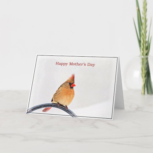 Carte de fête des mères avec un cardinal (Devant)
