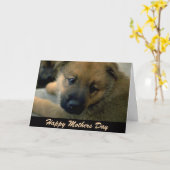 Carte de fête des mères de chien, câlin (Fleur jaune)