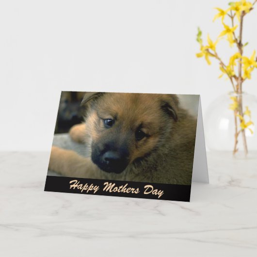 Carte de fête des mères de chien, câlin (Fleur jaune)