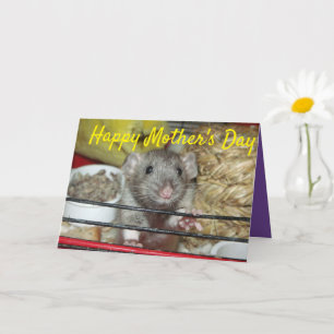 Carte de fête des mères de rat bébé