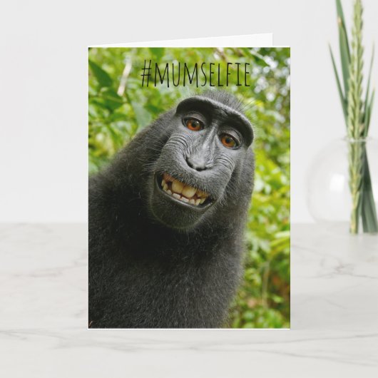 Carte de fête des mères drôle de singe selfie (Devant)
