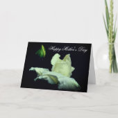 Carte de Fête des Mères Fleurs Rosebud Blanche (Devant)