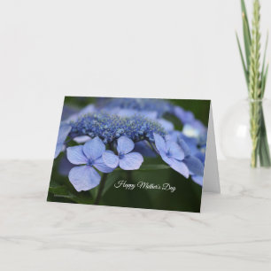 Carte de fête des mères Hydrangea