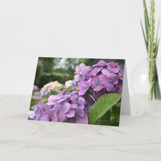 Carte de fête des mères Hydrangea (Devant)