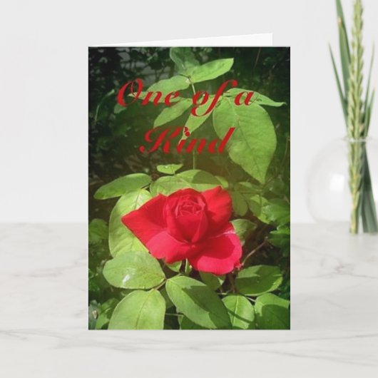 Carte de fête des mères roses (Devant)