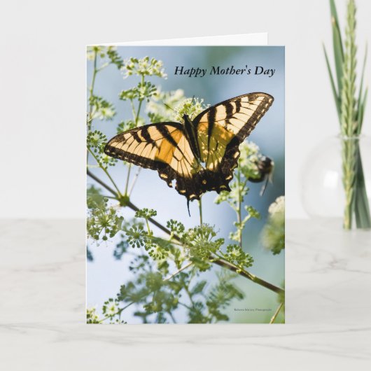 Carte de fête des mères Tiger Swallowtail (Devant)