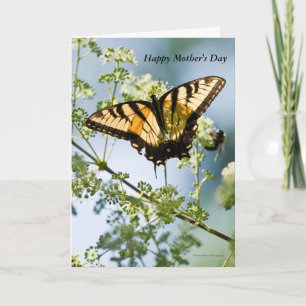 Carte de fête des mères Tiger Swallowtail