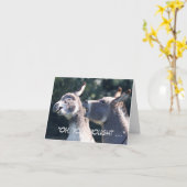 Carte de Fête des pères amusante avec des ânes (Fleur jaune)