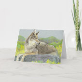 Carte de Fête des pères Coyote (Devant)