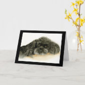 Carte de Fête des pères de caniche humoristique (Fleur jaune)