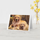 Carte de Fête des pères Golden Retriever (Fleur jaune)